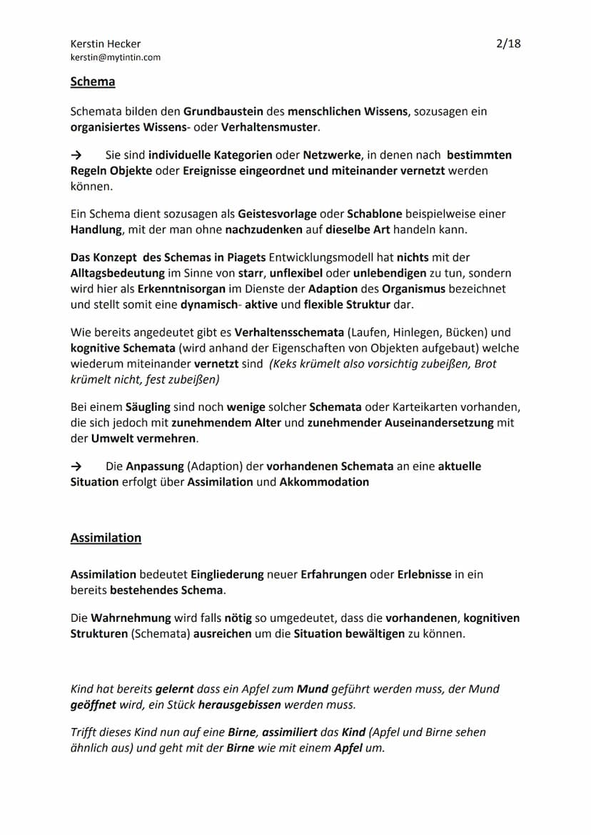 Jean Piagets Theorie der geistigen Entwicklung
Die Theorie Jean Piagets, geht davon aus, dass menschliche Erkenntnis durch aktives
Handeln u
