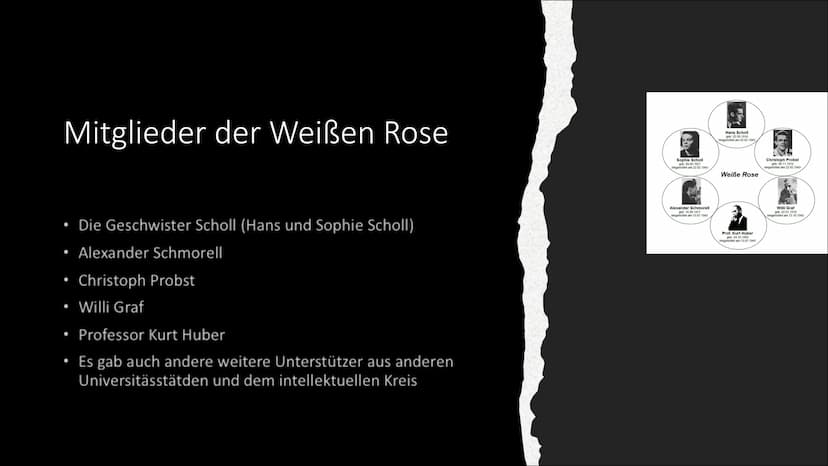 Spazzacantant
Die Weiße
Rose Inhaltsangabe
●
Was ist die Weiße Rose?
Wie kam es zu dem Namen Weiße Rose?
Mitglieder der Weißen Rose
• Wie en