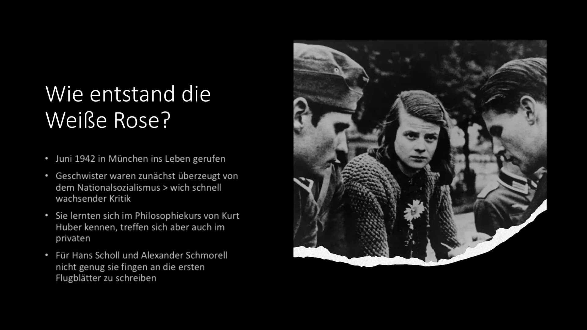 Spazzacantant
Die Weiße
Rose Inhaltsangabe
●
Was ist die Weiße Rose?
Wie kam es zu dem Namen Weiße Rose?
Mitglieder der Weißen Rose
• Wie en