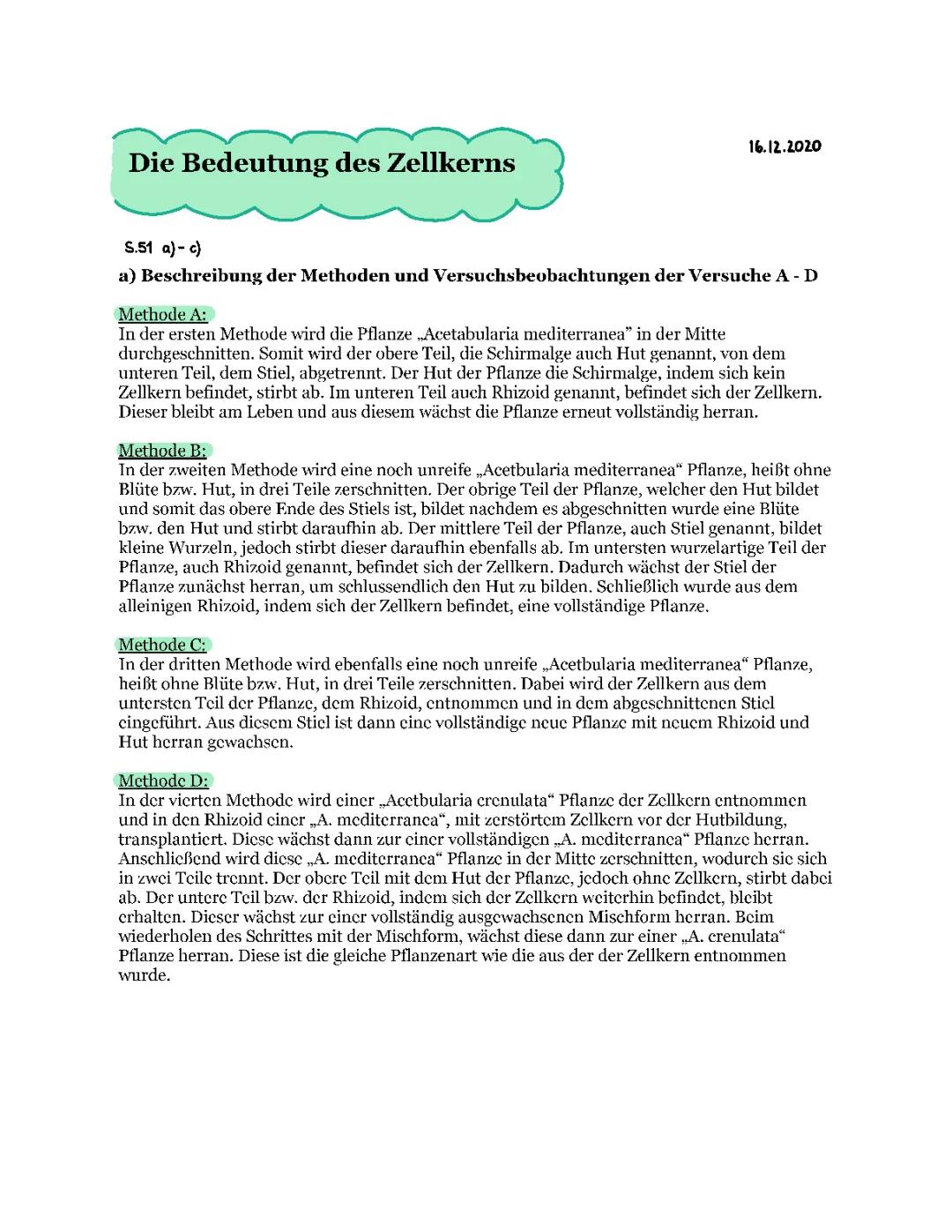 Zellkern Funktion und Aufbau für 5. und 7. Klasse - Bedeutung des Zellkerns und Experimente mit Acetabularia