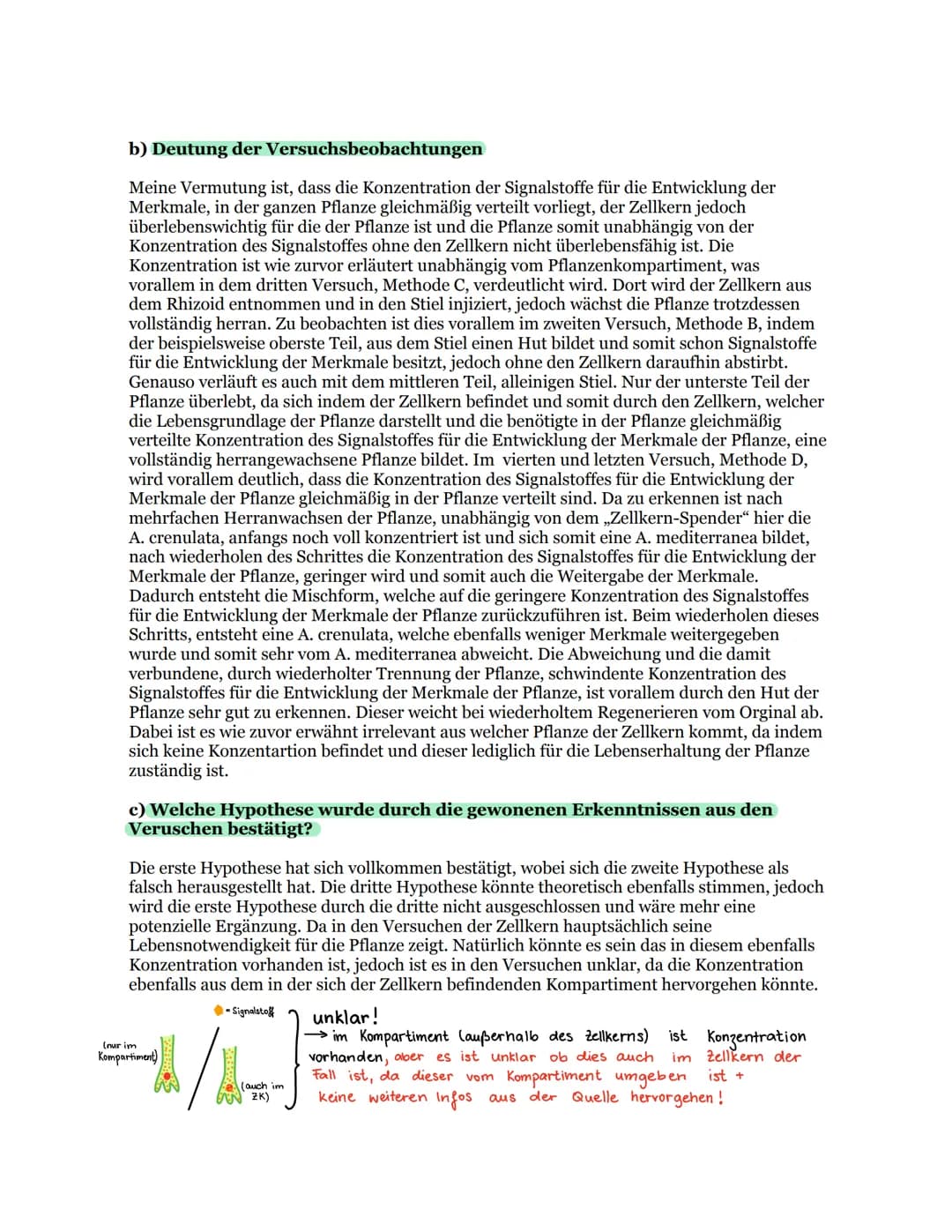 Die Bedeutung des Zellkerns
16.12.2020
S.51 a)-c)
a) Beschreibung der Methoden und Versuchsbeobachtungen der Versuche A - D
Methode A:
In de