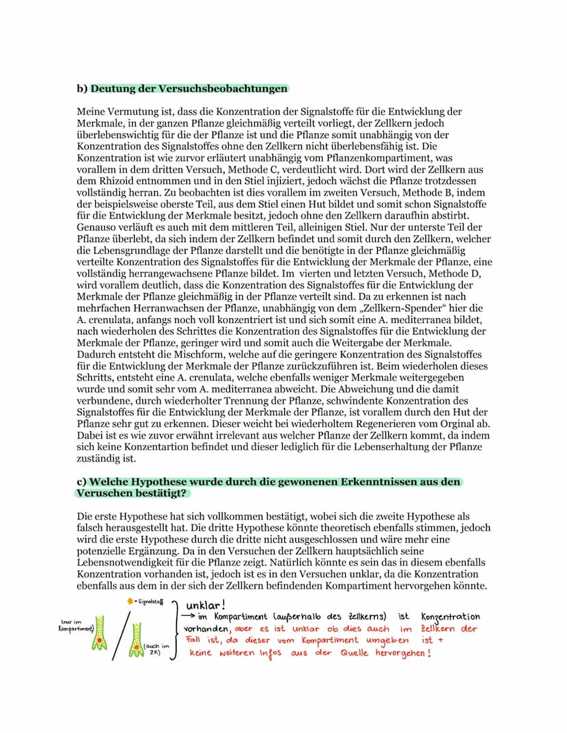 Die Bedeutung des Zellkerns
16.12.2020
S.51 a)-c)
a) Beschreibung der Methoden und Versuchsbeobachtungen der Versuche A - D
Methode A:
In de