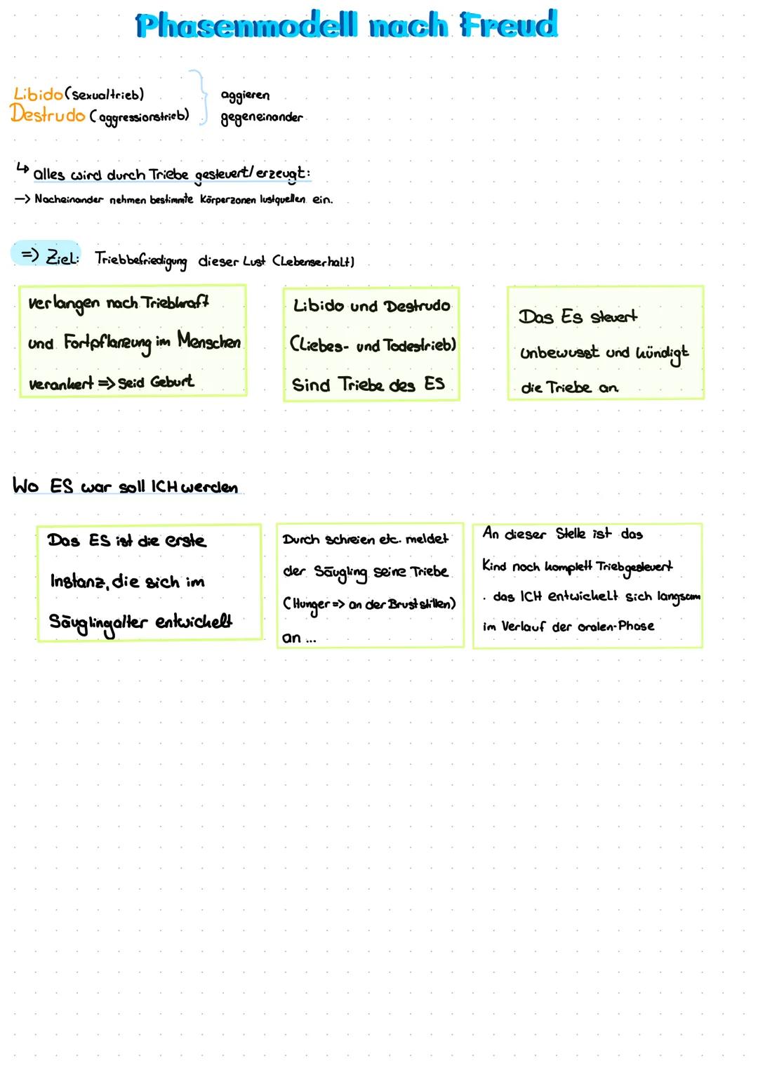 Die Psychosexuellen Entwicklungsphasen nach Freud erklärt