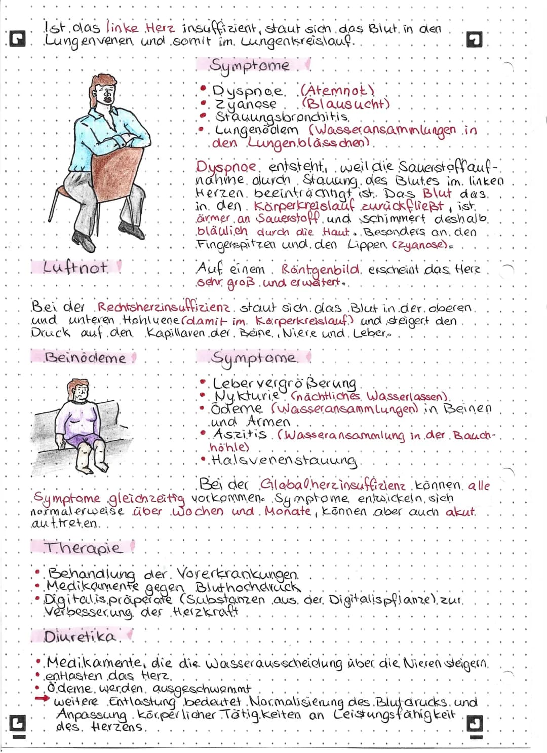 
<h2 id="symptome">Symptome</h2>
<p>Das linke Herz ist nicht mehr in der Lage, das Blut vollständig in den Körperkreislauf zu pumpen. Dies f