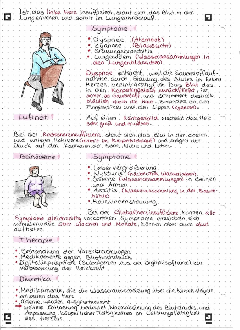 
<h2 id="symptome">Symptome</h2>
<p>Das linke Herz ist nicht mehr in der Lage, das Blut vollständig in den Körperkreislauf zu pumpen. Dies f