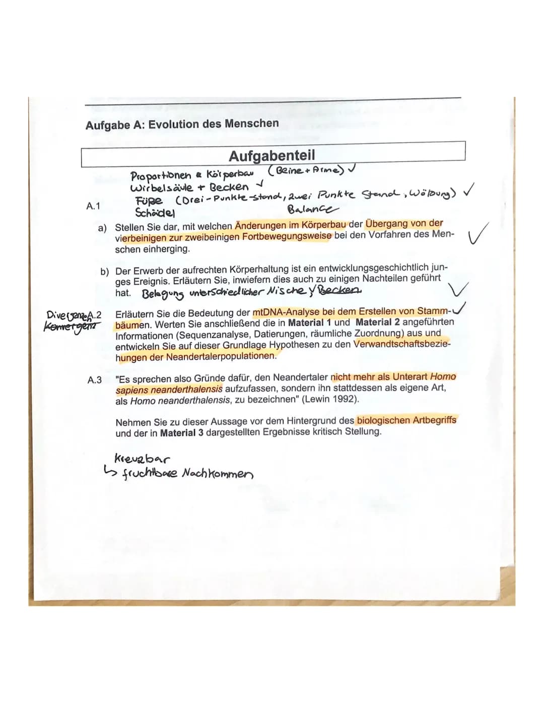 Aufgabe A: Evolution des Menschen
Aufgabenteil
Proportionen & Körperbau (Beine + Arme) √
Wirbelsäule + Becken ✓
✓
Füße (Drei-Punkte-stand, 2