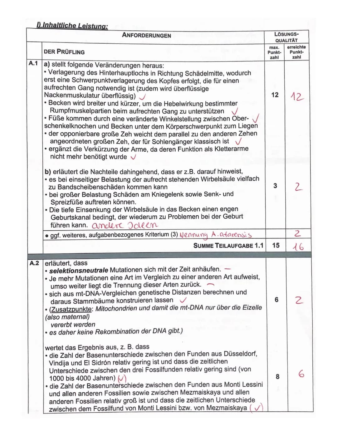 Aufgabe A: Evolution des Menschen
Aufgabenteil
Proportionen & Körperbau (Beine + Arme) √
Wirbelsäule + Becken ✓
✓
Füße (Drei-Punkte-stand, 2