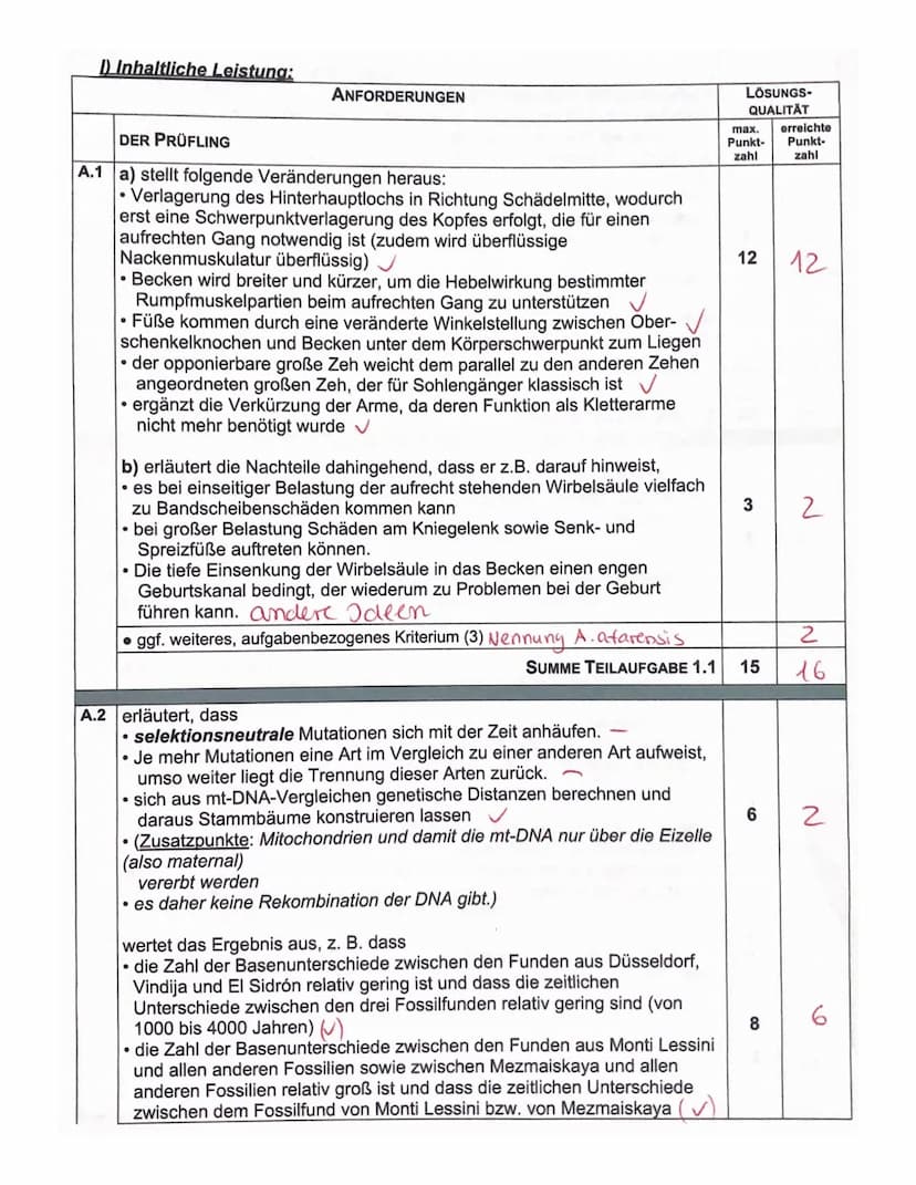 Aufgabe A: Evolution des Menschen
Aufgabenteil
Proportionen & Körperbau (Beine + Arme) √
Wirbelsäule + Becken ✓
✓
Füße (Drei-Punkte-stand, 2