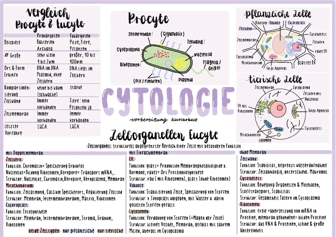 Cytologie