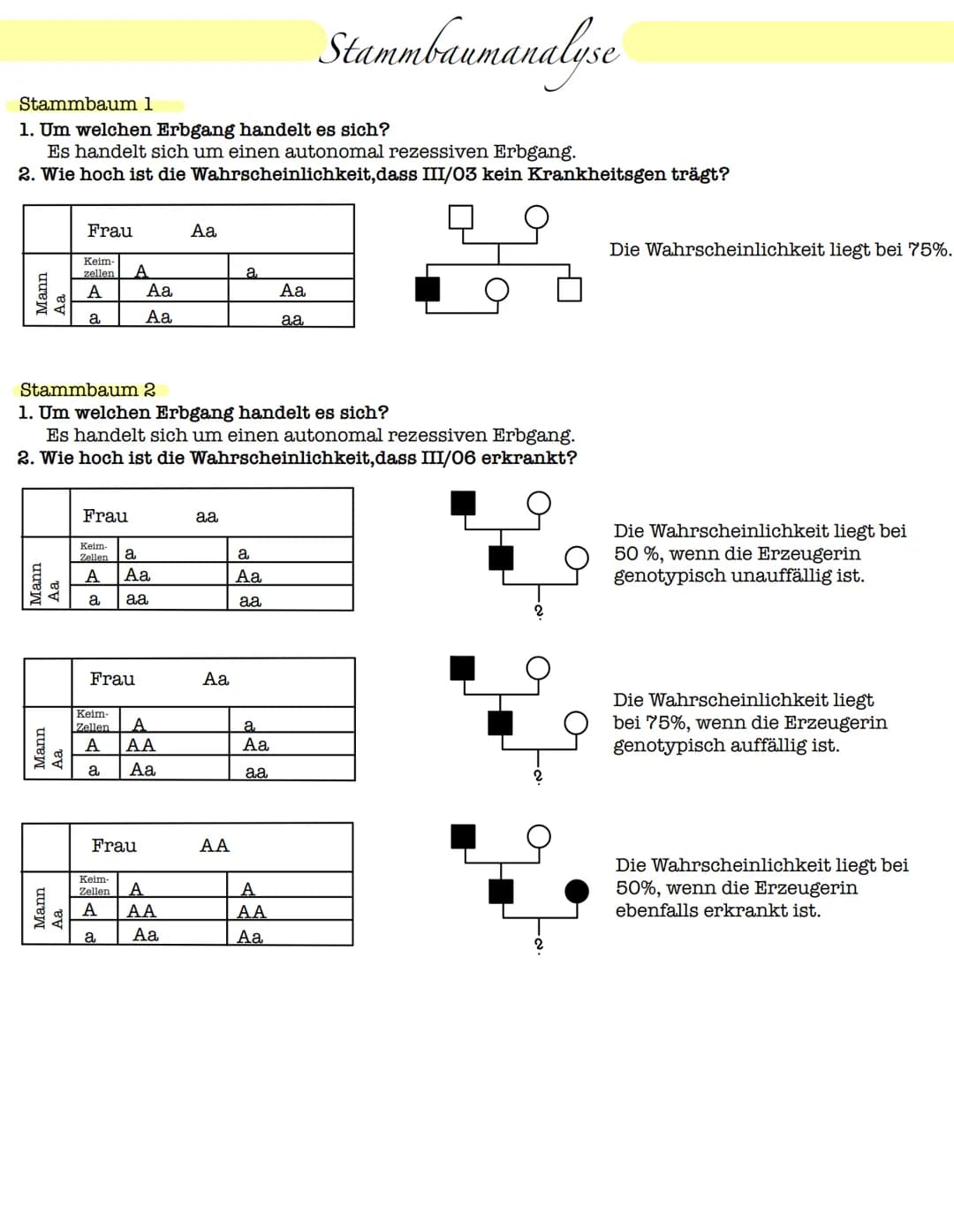 Stammbaum 1
1. Um welchen Erbgang handelt es sich?
Es handelt sich um einen autonomal rezessiven Erbgang.
2. Wie hoch ist die Wahrscheinlich