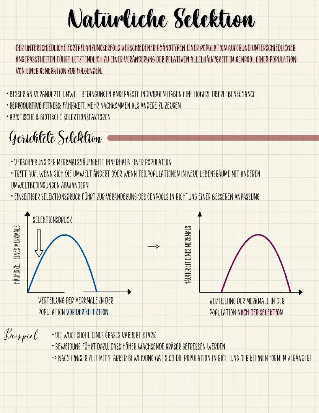 Evolution – Natürliche Selektion 