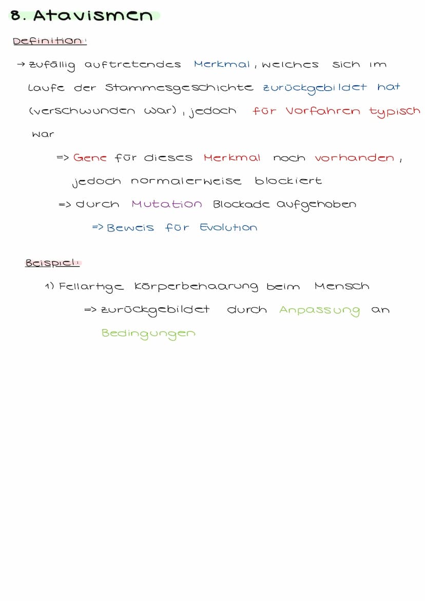 7. Rudimente
Definition:
→ zurückgebildete Organe, die meistens keine Funktion
mehr haben
=> Erfüllen die ursprünguche Funktion nicht mehr
=