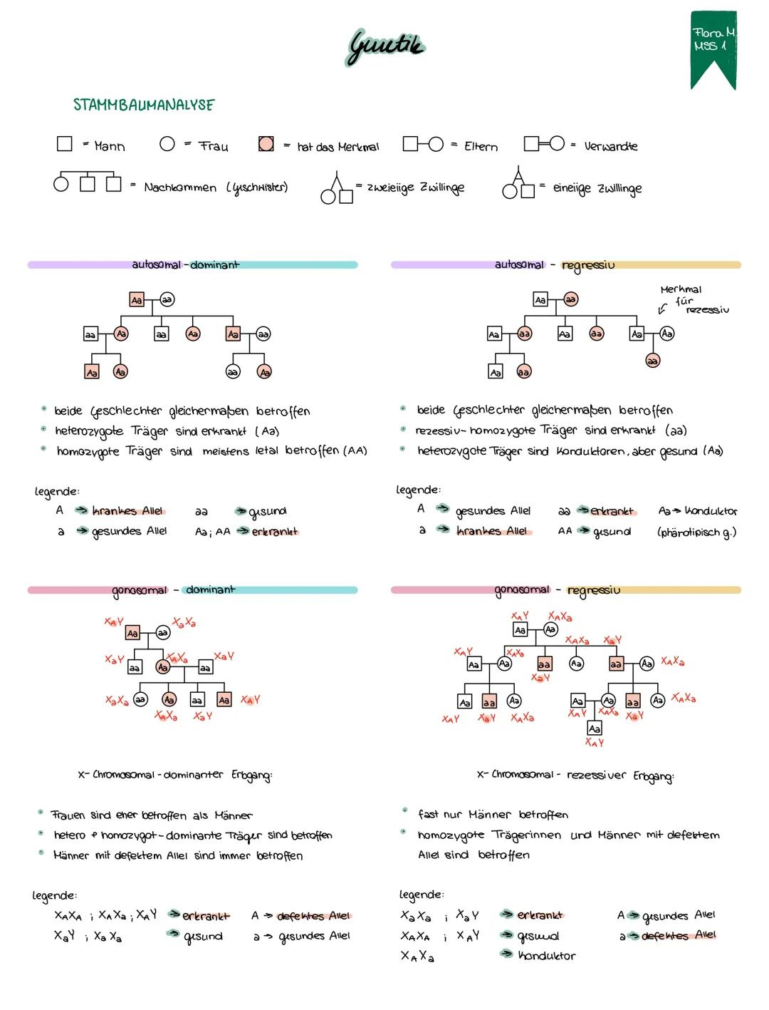 @
STAMMBAUMANALYSE
legende:
A
2
- Mann
aa
legende:
XAY
O = Frau
beide Geschlechter gleichermaßen betroffen
heterozygote Träger sind erkrankt