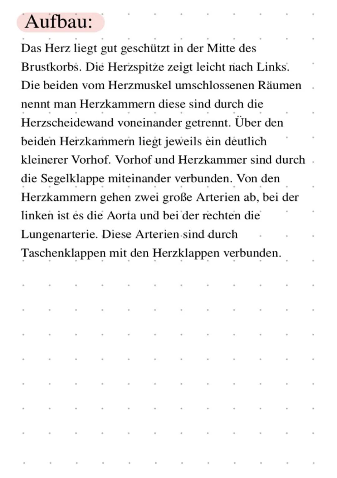 # Das Herz

3

4

5

1 Rechter Vorhof

2 Rechte Herzkammer
(Ventrikel)

(3) Kammerscheidewand

# Funktion:

4 Linker Vorhof

5 Linke Herzkam