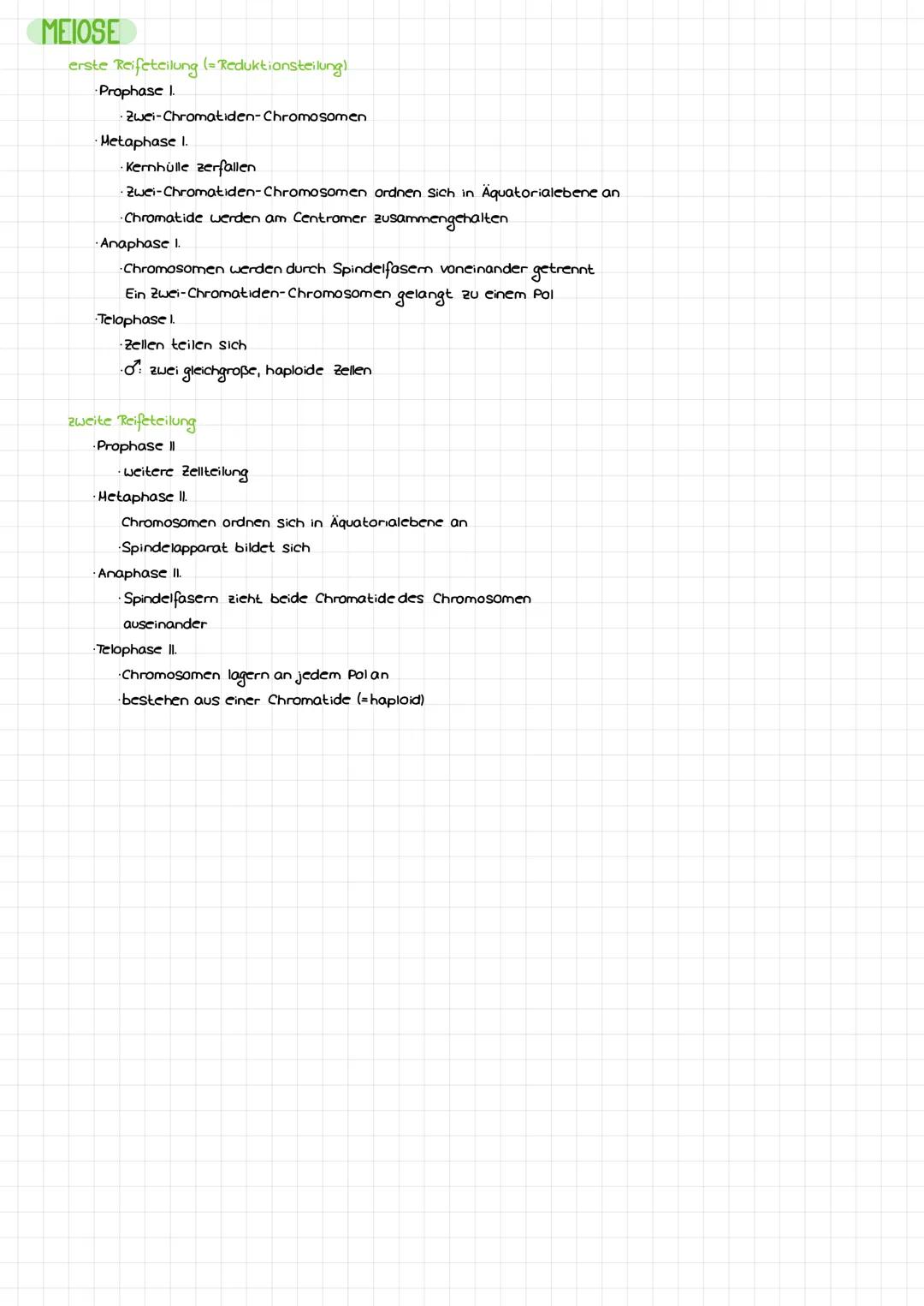 DIE DNA
Bose
LCB
Initiation
Base
Desaxyribase
Phosphat
Termination
BIO-KLAUSUR
S'
P
P
P
P
3
cylosin
Thymin
Adenin
Guanin
-Genetik-
komplemen