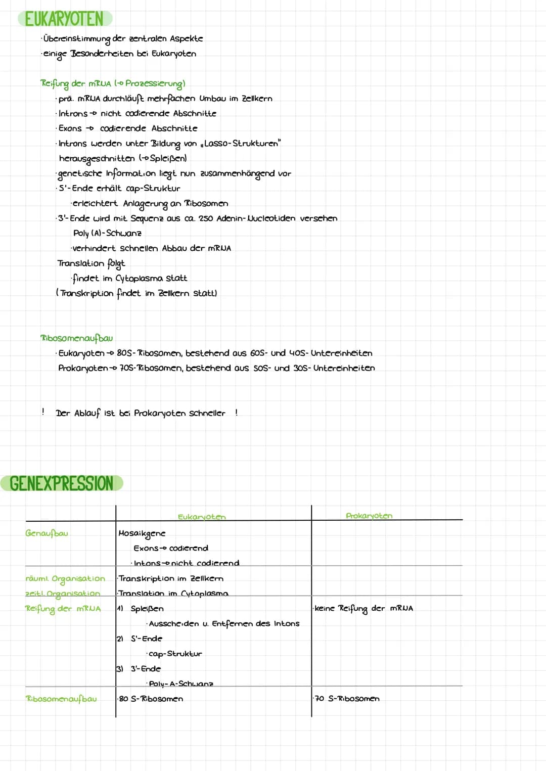 DIE DNA
Bose
LCB
Initiation
Base
Desaxyribase
Phosphat
Termination
BIO-KLAUSUR
S'
P
P
P
P
3
cylosin
Thymin
Adenin
Guanin
-Genetik-
komplemen