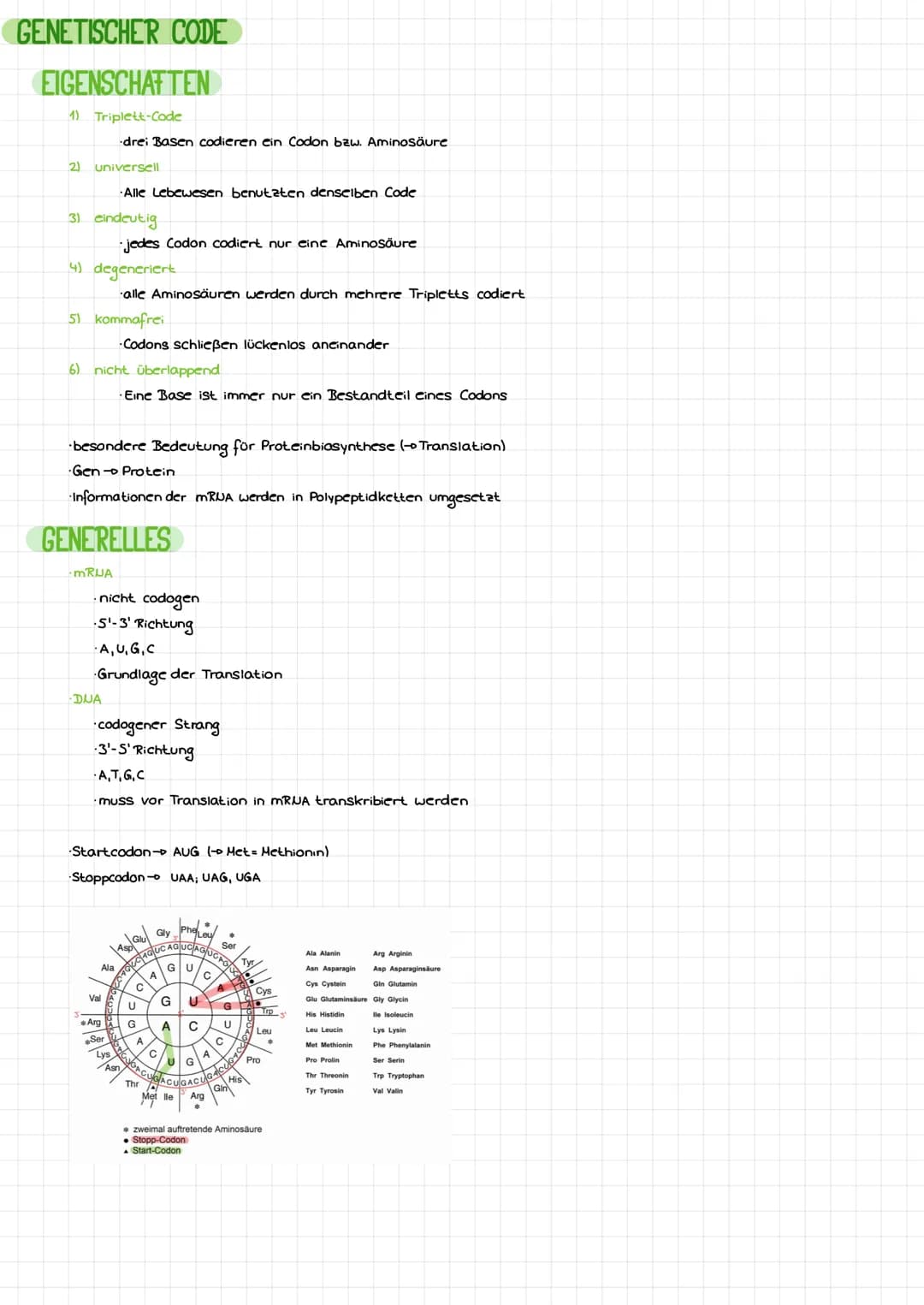 DIE DNA
Bose
LCB
Initiation
Base
Desaxyribase
Phosphat
Termination
BIO-KLAUSUR
S'
P
P
P
P
3
cylosin
Thymin
Adenin
Guanin
-Genetik-
komplemen