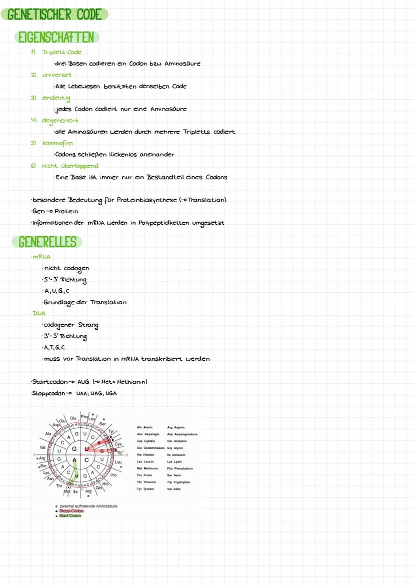 DIE DNA
Bose
LCB
Initiation
Base
Desaxyribase
Phosphat
Termination
BIO-KLAUSUR
S'
P
P
P
P
3
cylosin
Thymin
Adenin
Guanin
-Genetik-
komplemen