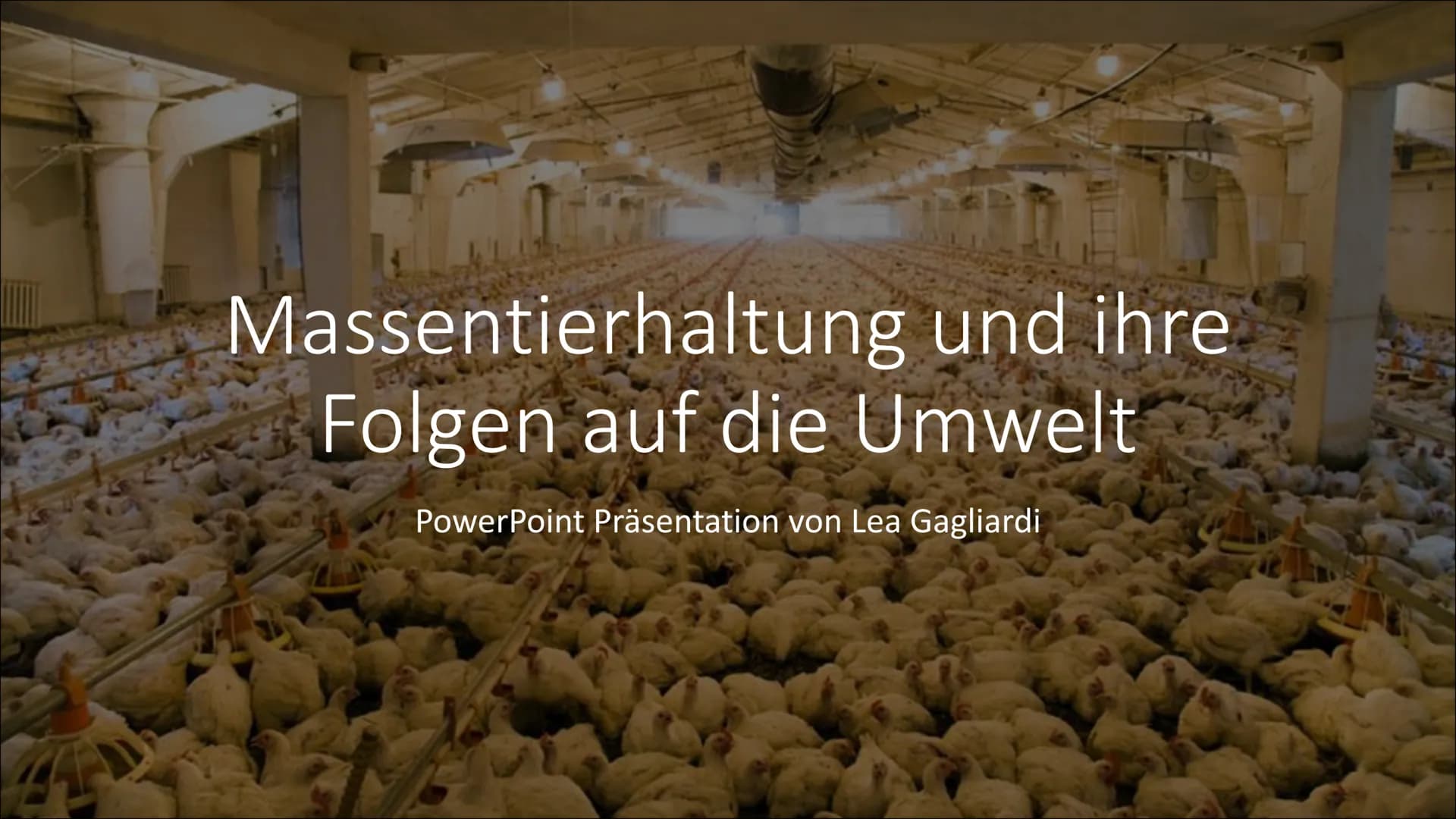 T
Massentierhaltung und ihre
Folgen auf die Umwelt
PowerPoint Präsentation von Lea Gagliardi Gliederung
1. Was ist Massentierhaltung
2.
3.
1