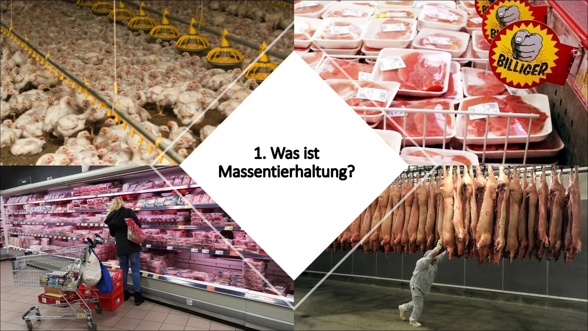 T
Massentierhaltung und ihre
Folgen auf die Umwelt
PowerPoint Präsentation von Lea Gagliardi Gliederung
1. Was ist Massentierhaltung
2.
3.
1