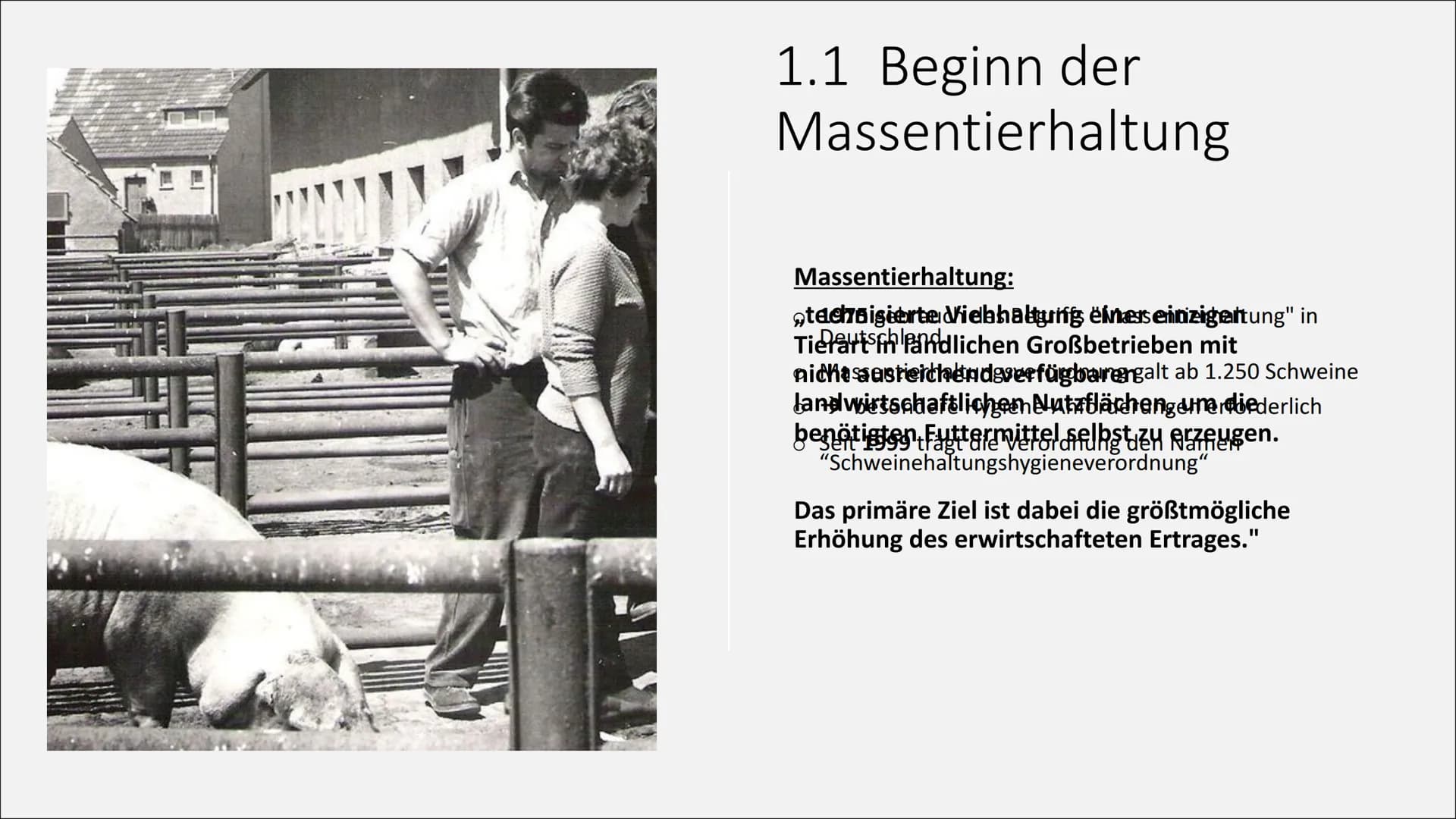 T
Massentierhaltung und ihre
Folgen auf die Umwelt
PowerPoint Präsentation von Lea Gagliardi Gliederung
1. Was ist Massentierhaltung
2.
3.
1