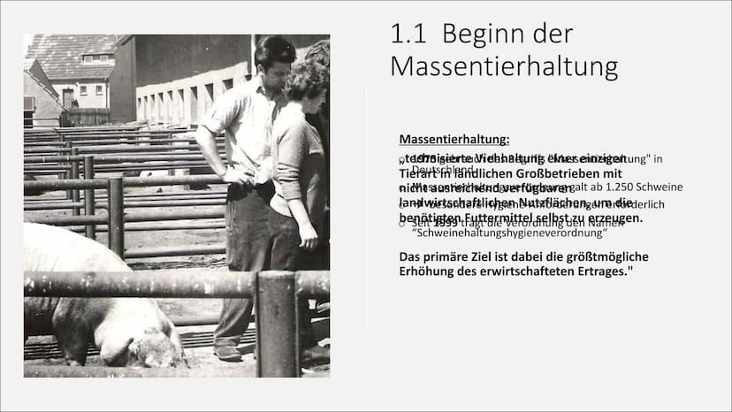 T
Massentierhaltung und ihre
Folgen auf die Umwelt
PowerPoint Präsentation von Lea Gagliardi Gliederung
1. Was ist Massentierhaltung
2.
3.
1
