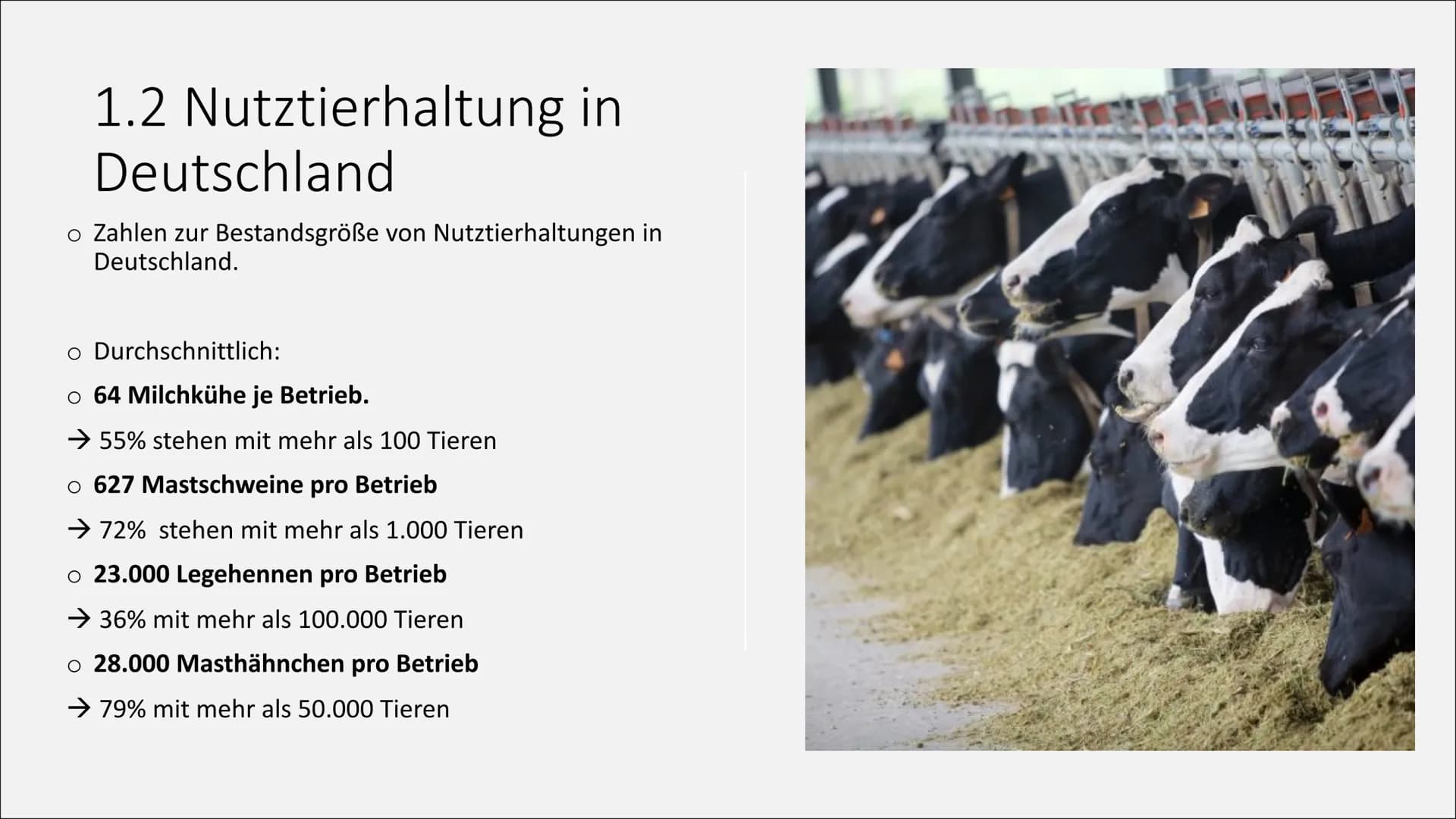 T
Massentierhaltung und ihre
Folgen auf die Umwelt
PowerPoint Präsentation von Lea Gagliardi Gliederung
1. Was ist Massentierhaltung
2.
3.
1