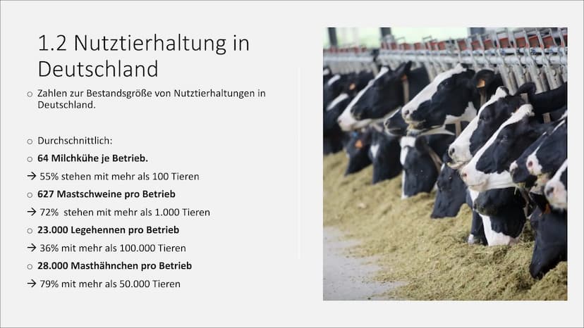 T
Massentierhaltung und ihre
Folgen auf die Umwelt
PowerPoint Präsentation von Lea Gagliardi Gliederung
1. Was ist Massentierhaltung
2.
3.
1