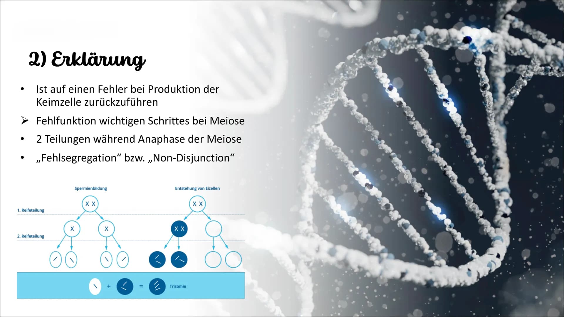 Genetik
Die Erbkrankheit „Trisomie 21"
Weronika Konopka 10a- Biologie Gliederung
1. Einführung
2. Erklärung
3. äußerliche Merkmale
3.1. gesu