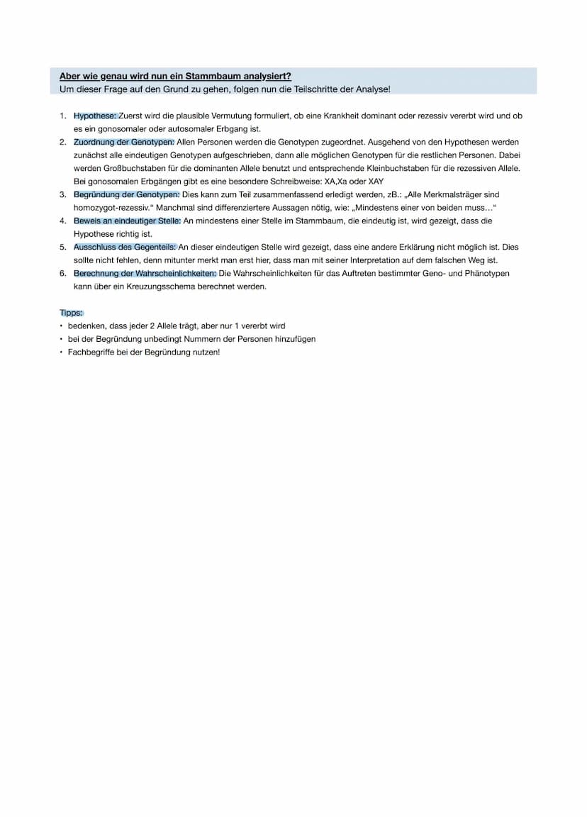 Wie werden Stammbäume eigentlich analysiert?
Um dieser Frage auf den Grund gehen zu können, werden zunächst einige Fachbegriffe geklärt!
All