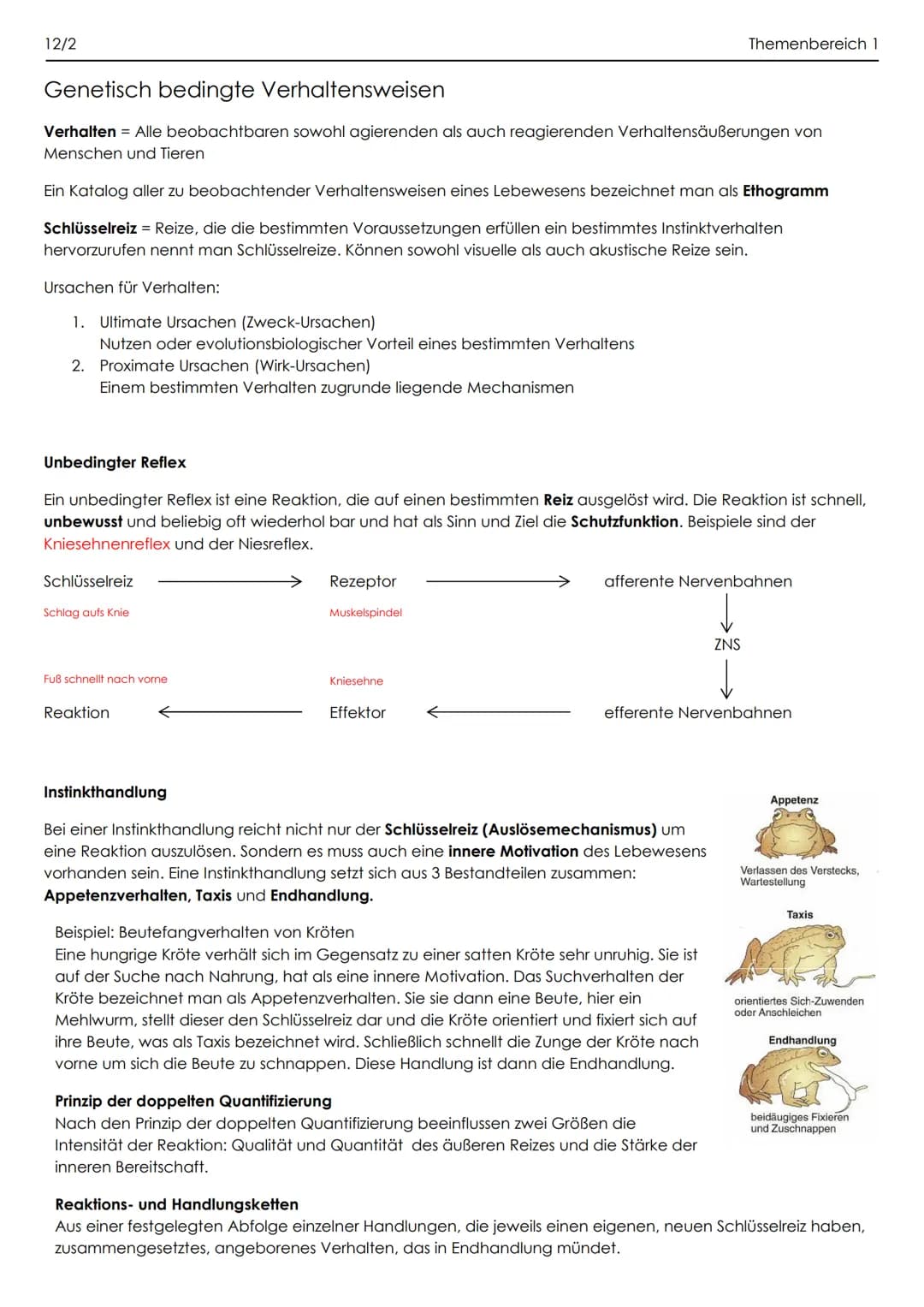 12/2
Genetisch bedingte Verhaltensweisen
Verhalten = Alle beobachtbaren sowohl agierenden als auch reagierenden Verhaltensäußerungen von
Men
