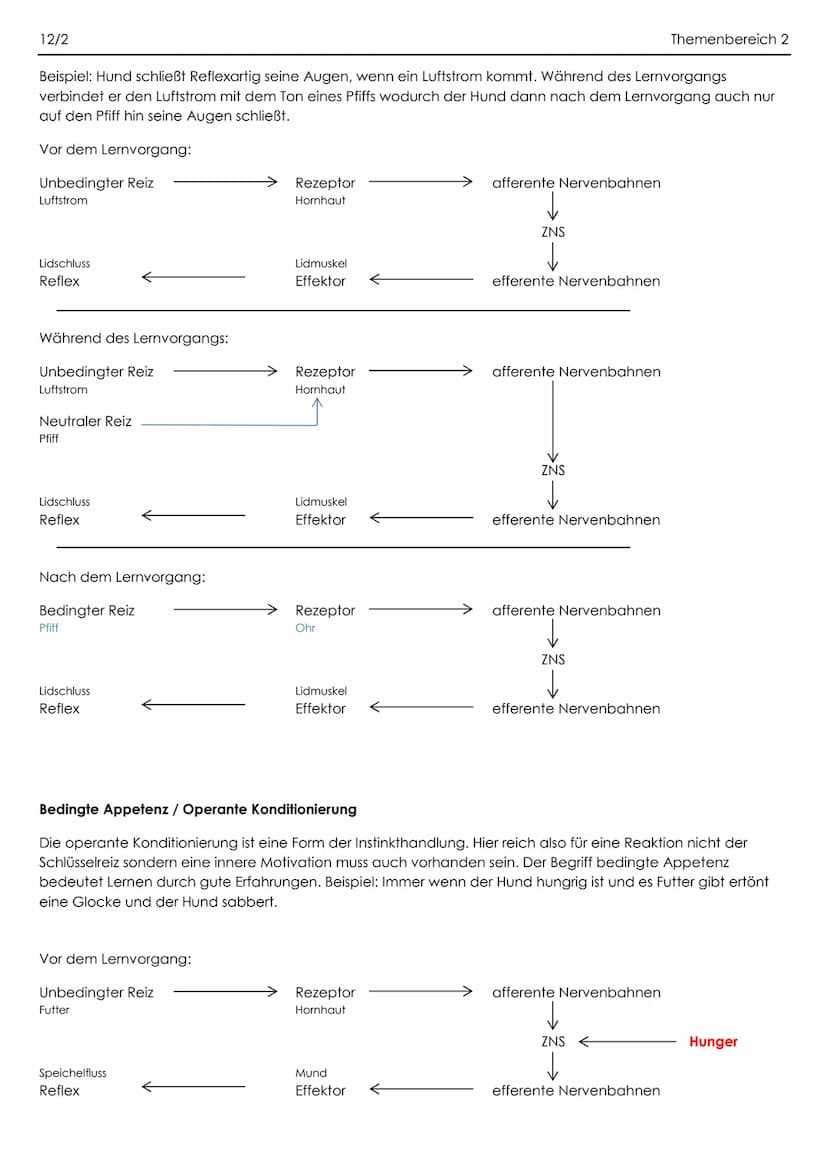 12/2
Genetisch bedingte Verhaltensweisen
Verhalten = Alle beobachtbaren sowohl agierenden als auch reagierenden Verhaltensäußerungen von
Men