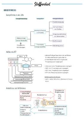 Know Stoffwechsel  thumbnail