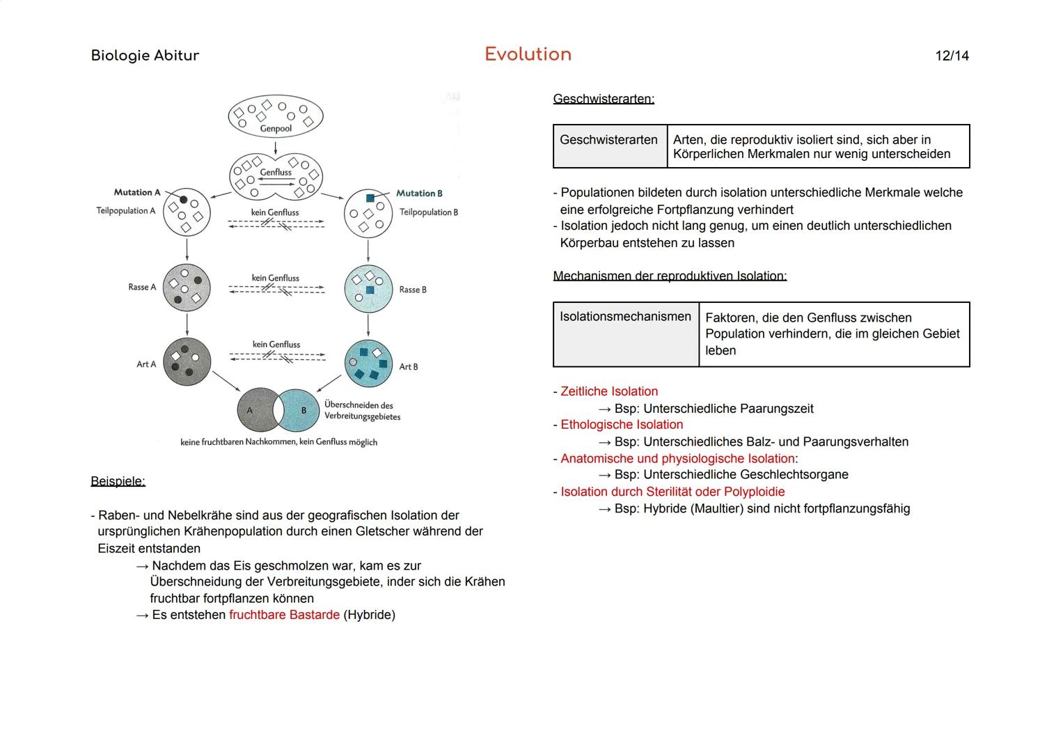 Biologie Abitur
1. Vielfalt und systematische Ordnung der Organismen
1.1 Die Art als Grundeinheit des natürlichen Systems
Biologischer
Artbe