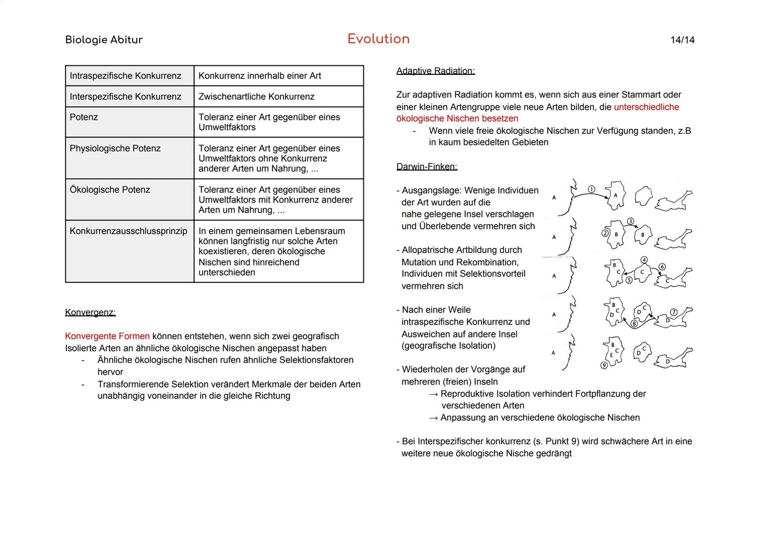 Biologie Abitur
1. Vielfalt und systematische Ordnung der Organismen
1.1 Die Art als Grundeinheit des natürlichen Systems
Biologischer
Artbe