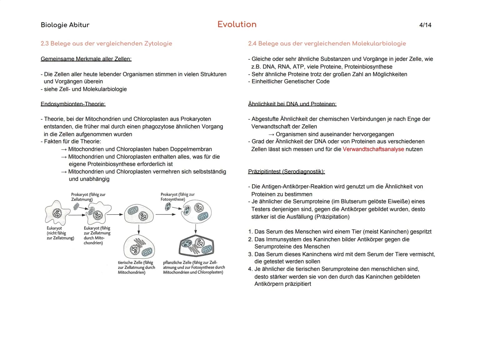 Biologie Abitur
1. Vielfalt und systematische Ordnung der Organismen
1.1 Die Art als Grundeinheit des natürlichen Systems
Biologischer
Artbe