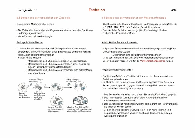 Biologie Abitur
1. Vielfalt und systematische Ordnung der Organismen
1.1 Die Art als Grundeinheit des natürlichen Systems
Biologischer
Artbe