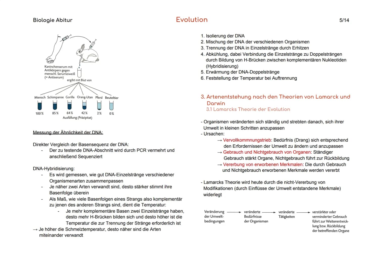 Biologie Abitur
1. Vielfalt und systematische Ordnung der Organismen
1.1 Die Art als Grundeinheit des natürlichen Systems
Biologischer
Artbe