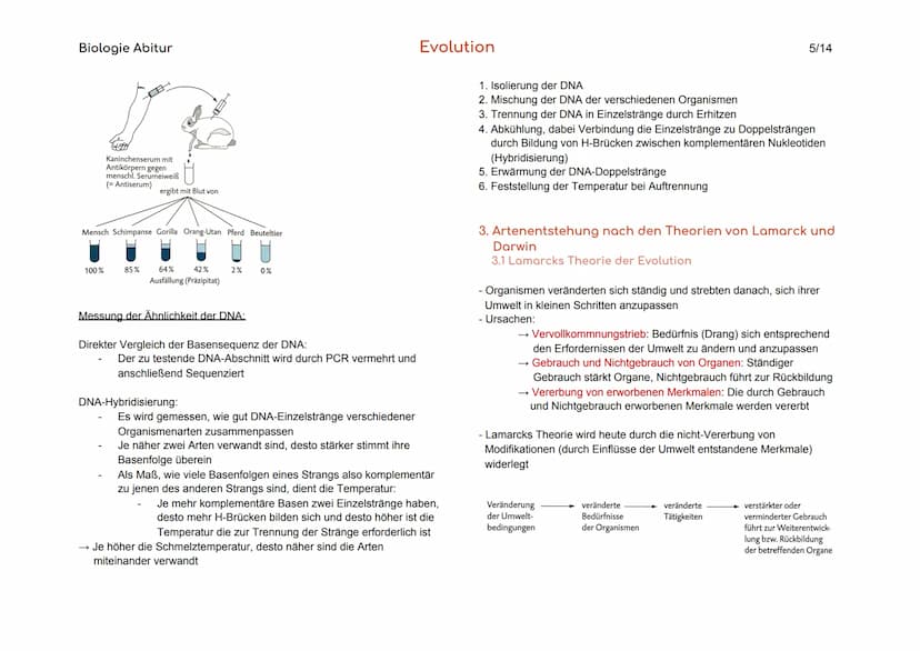 Biologie Abitur
1. Vielfalt und systematische Ordnung der Organismen
1.1 Die Art als Grundeinheit des natürlichen Systems
Biologischer
Artbe