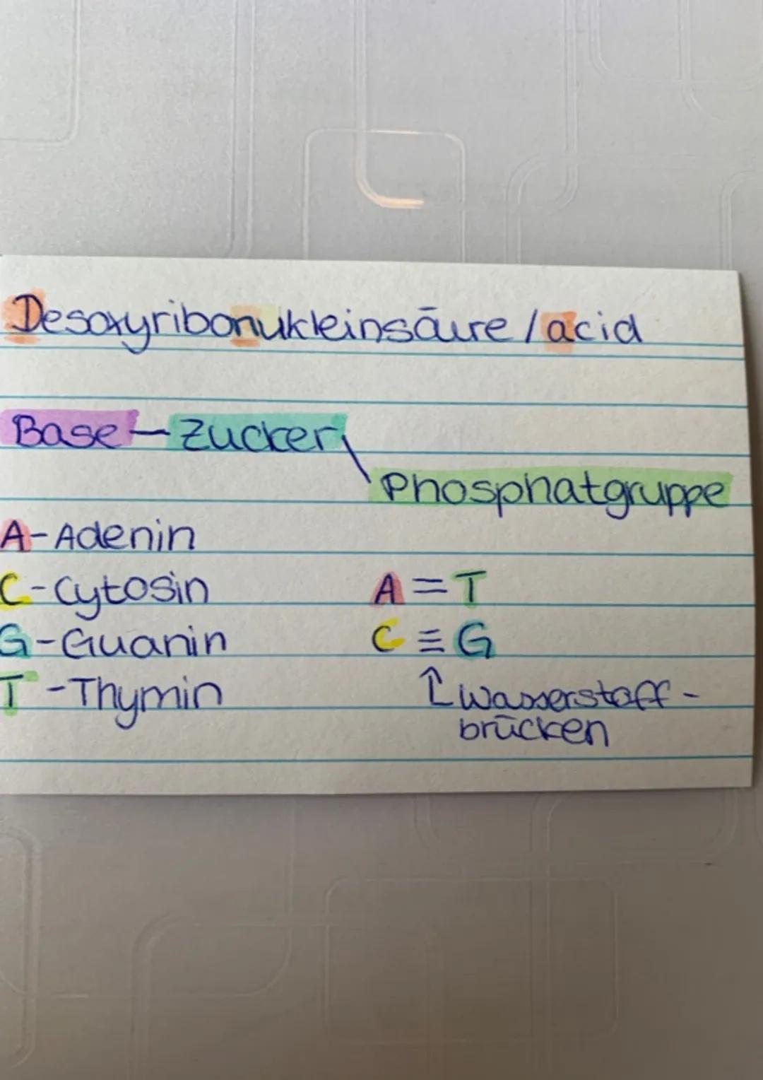 DNA Desoxyribonukleinsäure/acid

Base-Zucker
Phosphatgruppe

A-Adenin
C-Cytosin
A=T
G-Guanin
C$\equiv$G
T-Thymin
$\uparrow$wasserstoff-
brüc