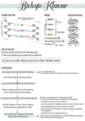 Know Genetik allgemein thumbnail