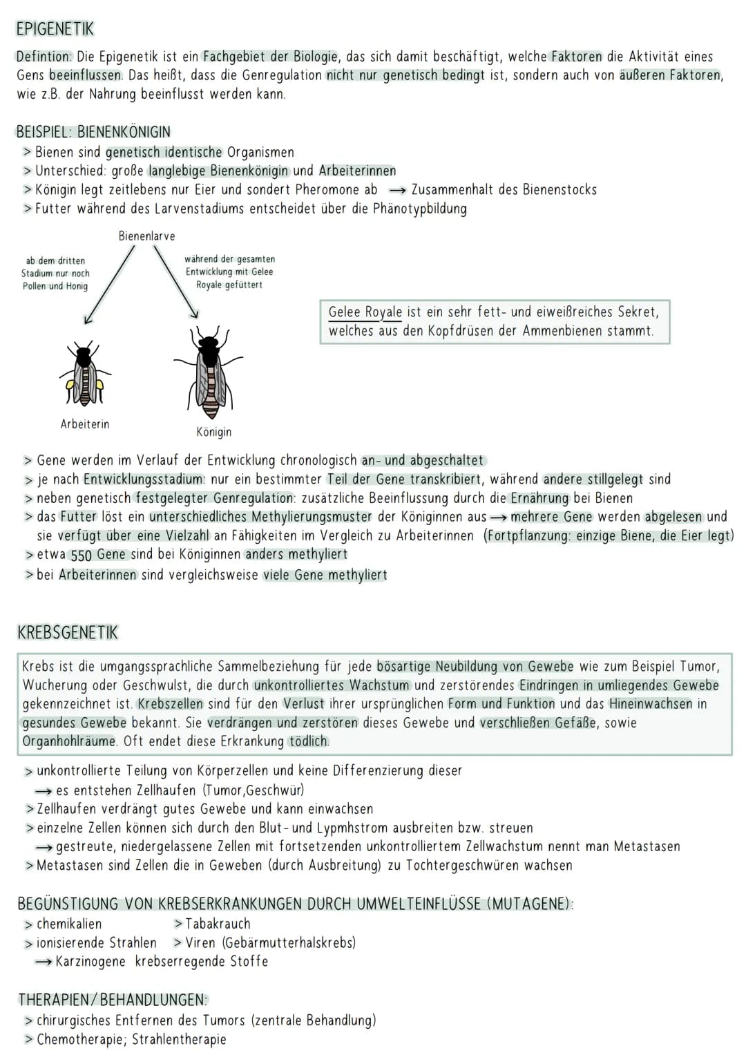 AUFBAU DER DNA
5'-Ende
antiparallel zum anderen Strang
3'-Ende
D
HYPOTHESEN
Wasserstoffbrückenbindung
(3 bei G&C; 2 bei A&T)
G
Biologie Klau