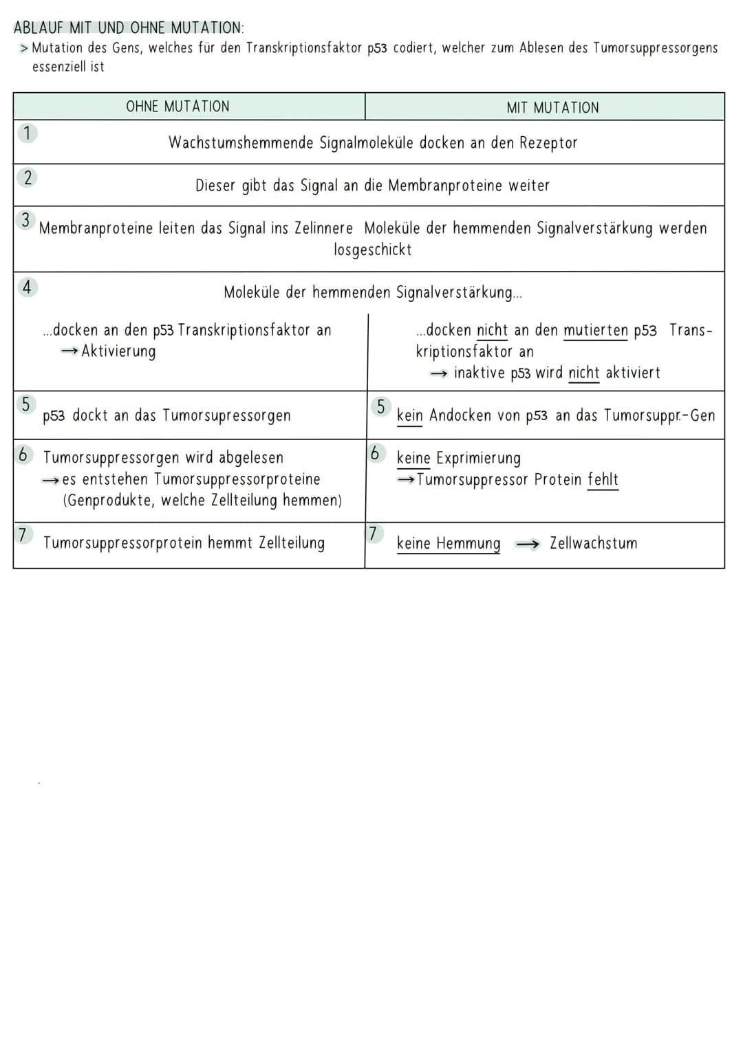 AUFBAU DER DNA
5'-Ende
antiparallel zum anderen Strang
3'-Ende
D
HYPOTHESEN
Wasserstoffbrückenbindung
(3 bei G&C; 2 bei A&T)
G
Biologie Klau