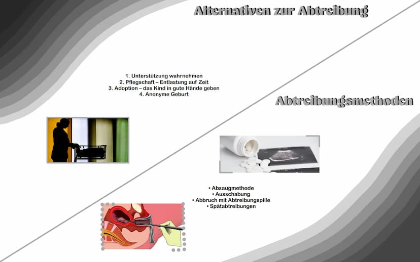 Abtreibung •
Sollte man Abtreiben oder nicht und was sagt die Kirche dazu? 1. Was ist eine Abtreibung?
2. Rechtliche Grundlagen
Themenüberbl