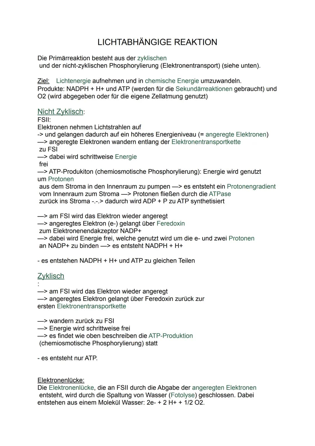 LICHTABHÄNGIGE REAKTION
Die Primärreaktion besteht aus der zyklischen
und der nicht-zyklischen Phosphorylierung (Elektronentransport) (siehe