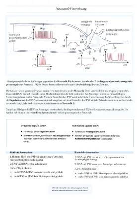 Know Neuronale Verrechnung thumbnail