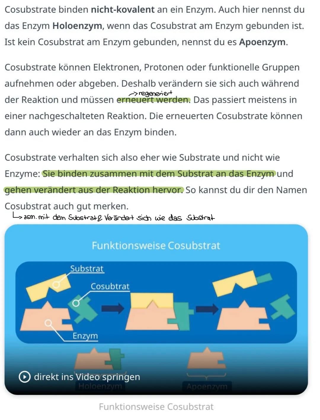 
<p>Der erste Reaktionsschritt findet in einem Multienzym-Komplex statt, der sich an der Inneren Mitochondrienmembran befindet. Dabei wird v