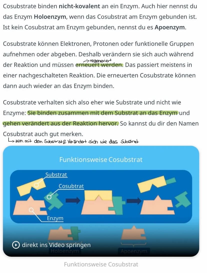 
<p>Der erste Reaktionsschritt findet in einem Multienzym-Komplex statt, der sich an der Inneren Mitochondrienmembran befindet. Dabei wird v