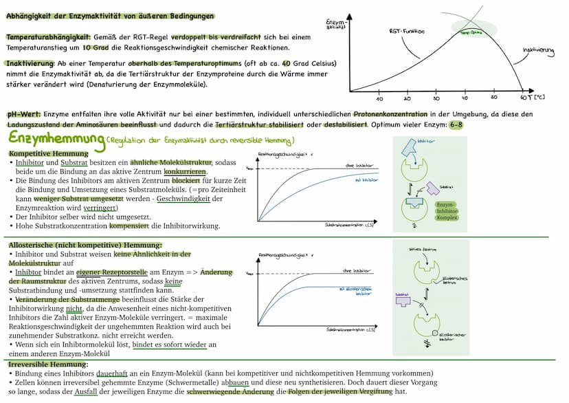 
<p>Der erste Reaktionsschritt findet in einem Multienzym-Komplex statt, der sich an der Inneren Mitochondrienmembran befindet. Dabei wird v