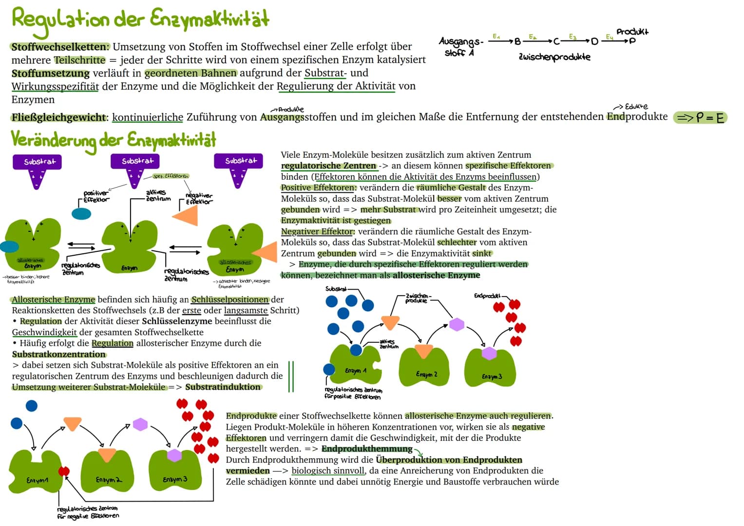 
<p>Der erste Reaktionsschritt findet in einem Multienzym-Komplex statt, der sich an der Inneren Mitochondrienmembran befindet. Dabei wird v
